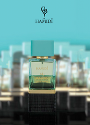 Raa'ed (100ml) Perfume Spray by Hamidi