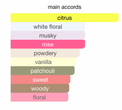 Miss Armaf Magnifiq EDP (100ml) Spray by Armaf