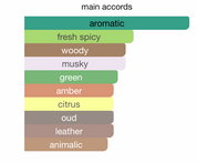 Al Mukhmal Collection Enjezab EDP (100ml) Spray By Hamidi