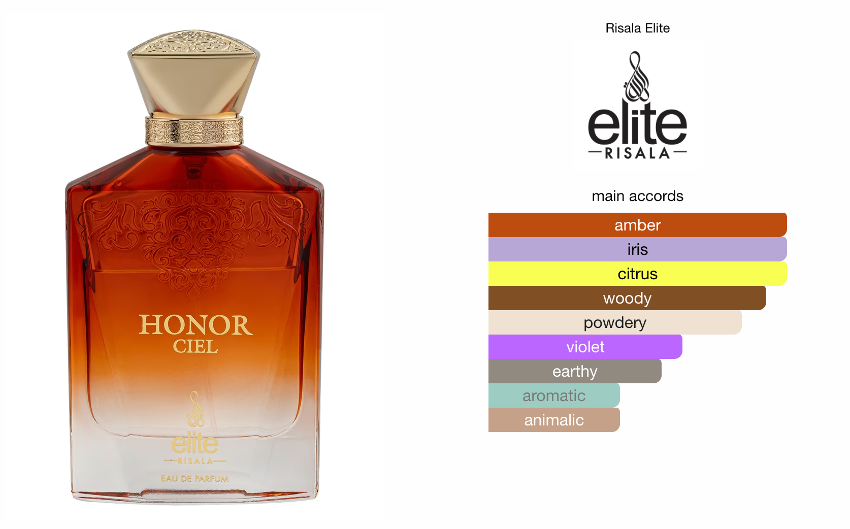 Elite Honor Ciel (100ml) Perfume Spray by Risala