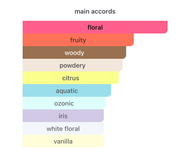 Celine EDP (100ml) Perfume Spray by Aura Fragrances