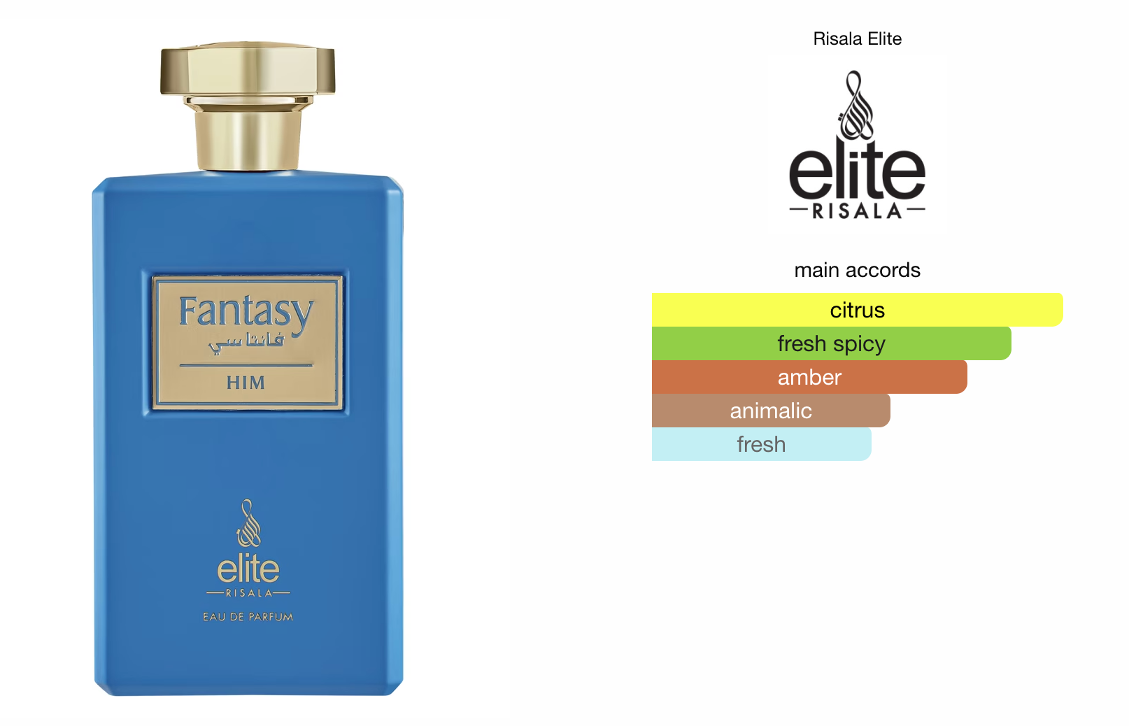 Elite Fantasy Him (100ml) Perfume Spray by Risala