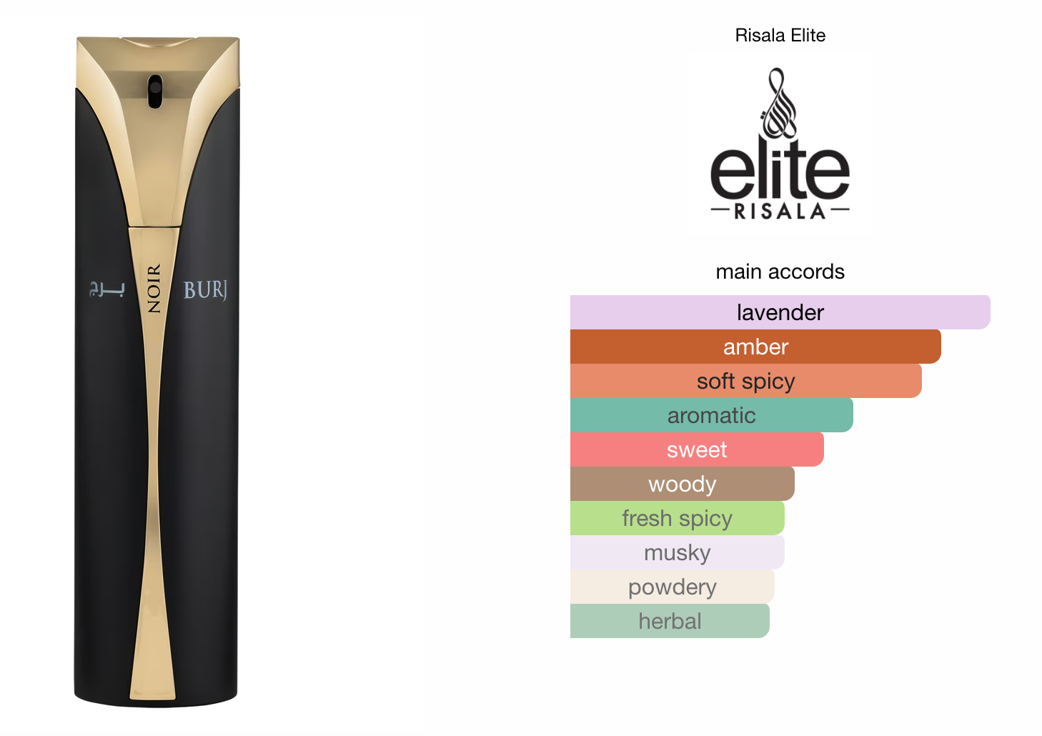 Elite Empire Burj Noir (100ml) Perfume Spray by Risala