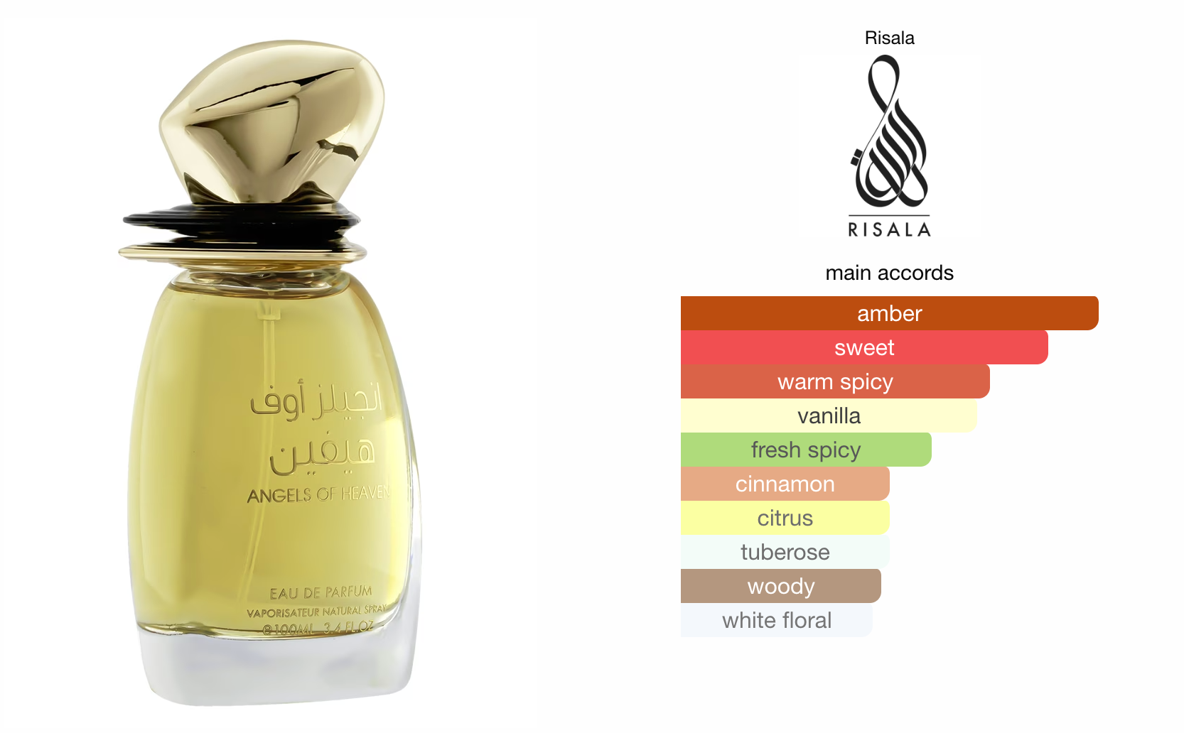 Angels of Heaven EDP (100ml) Perfume Spray by Risala