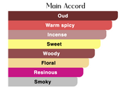 Oud Admire EDP (100ml) by Hamidi